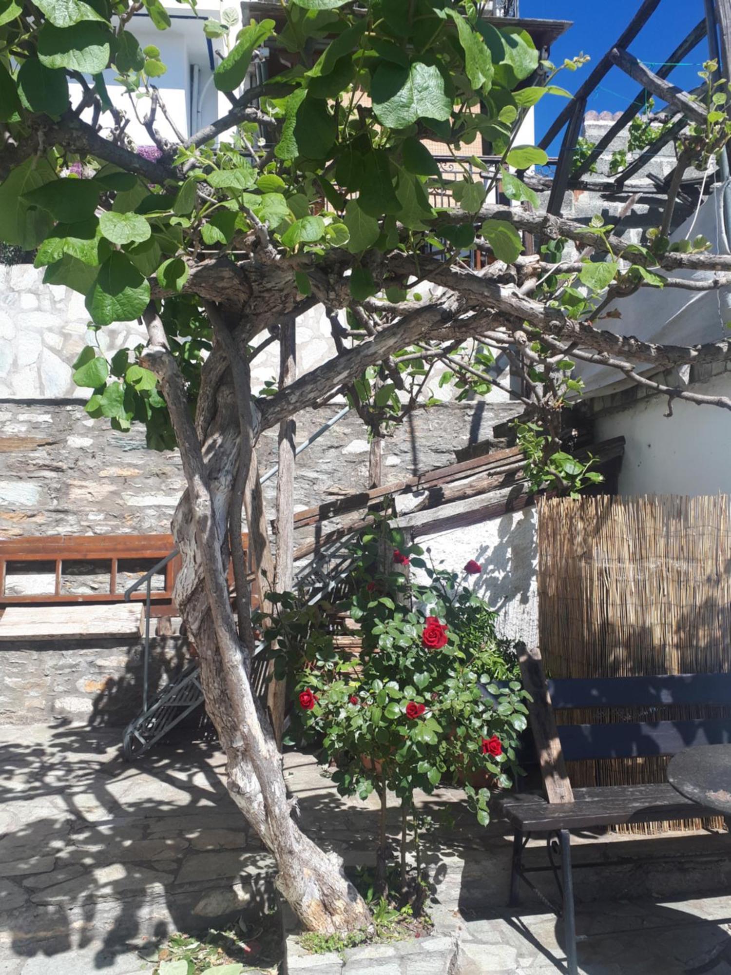 Αrchontiko Tis Marios Hotel Portariá Kültér fotó