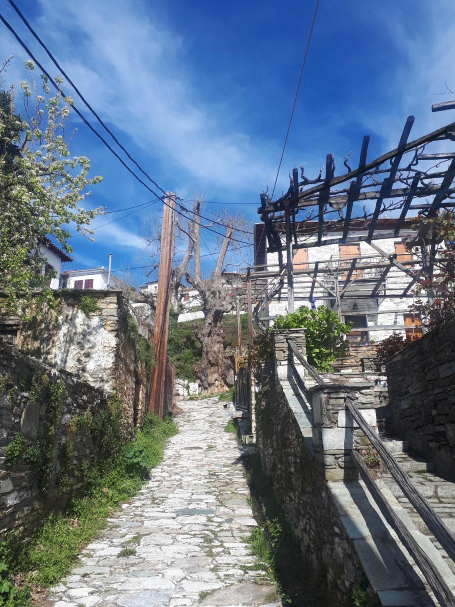 Αrchontiko Tis Marios Hotel Portariá Kültér fotó