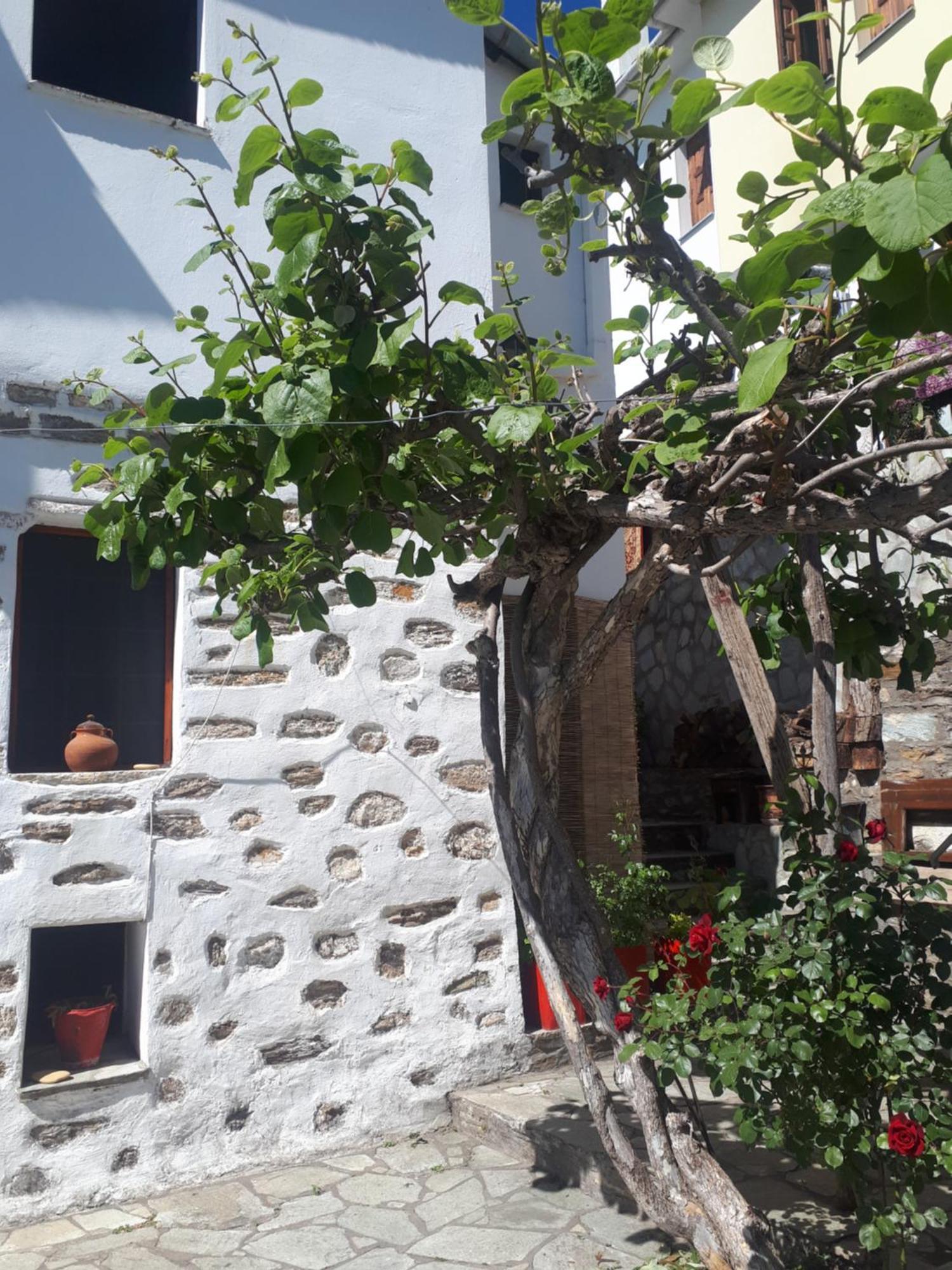 Αrchontiko Tis Marios Hotel Portariá Kültér fotó