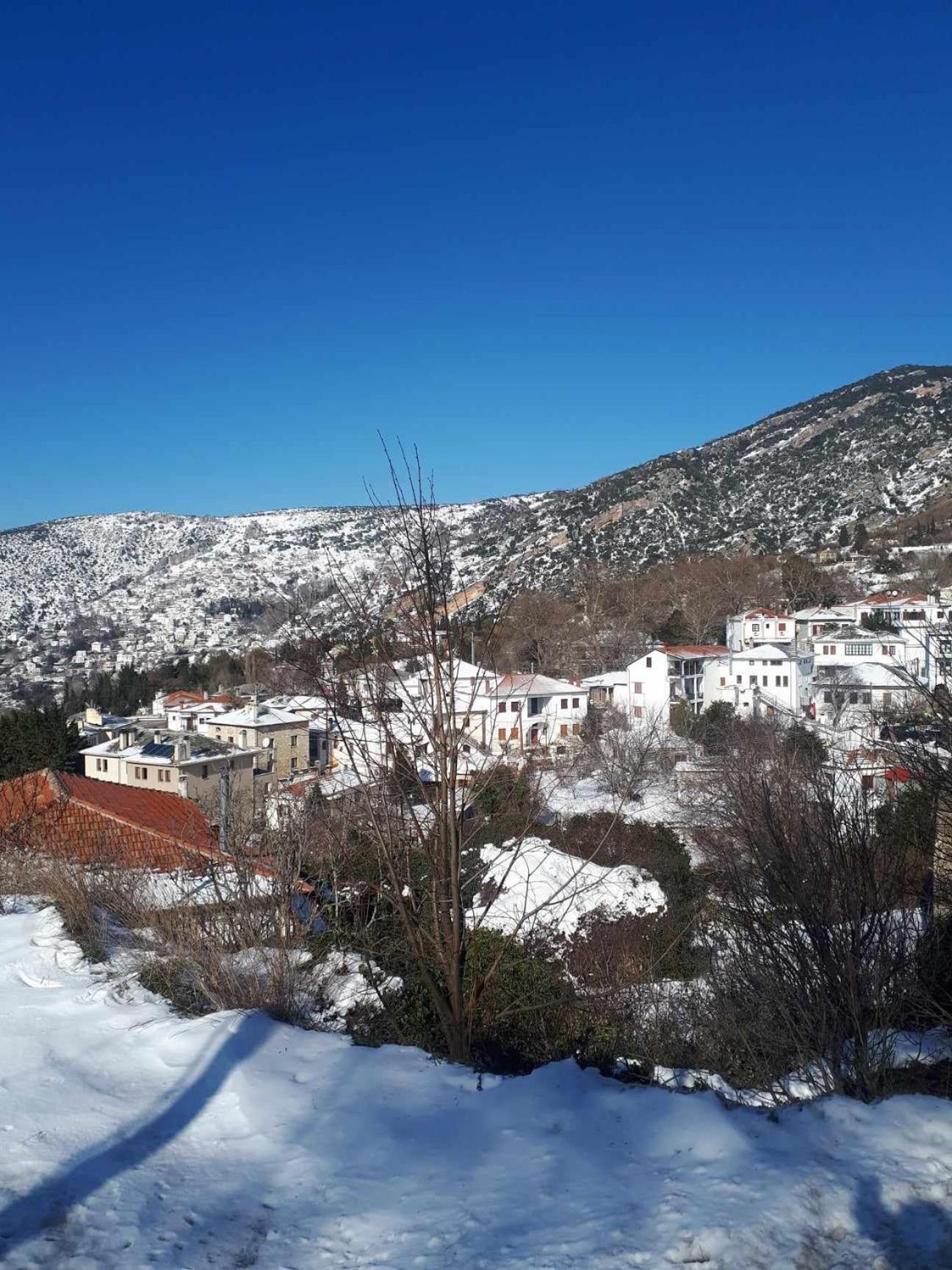 Αrchontiko Tis Marios Hotel Portariá Kültér fotó